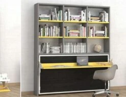 Lit Escamotable 90x180 Cm Avec Bureau Et Bibliothèque Spacio