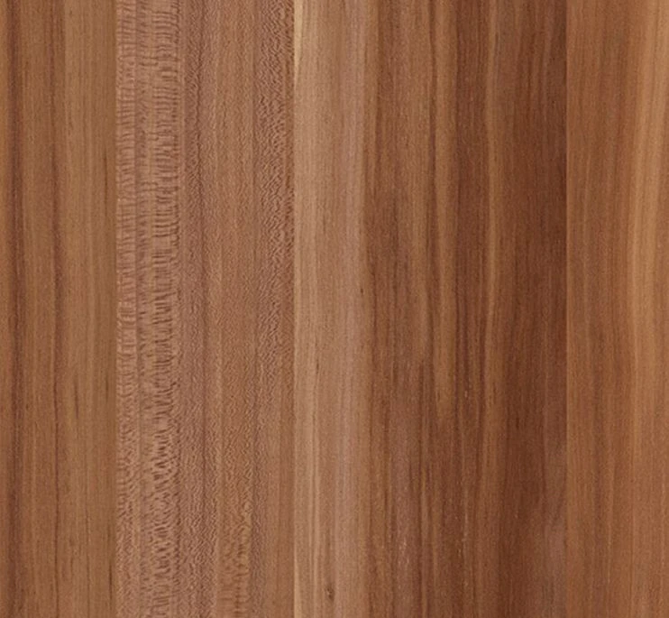 Lit Escamotable Horizontal 90x180 Cm Avec étagères Intérieures Rankar – Image 10